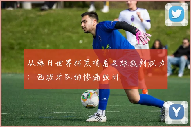 从韩日世界杯黑哨看足球裁判权力：西班牙队的惨痛教训