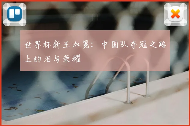 世界杯新王加冕：中国队夺冠之路上的泪与荣耀