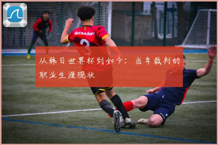 从韩日世界杯到如今：当年裁判的职业生涯现状