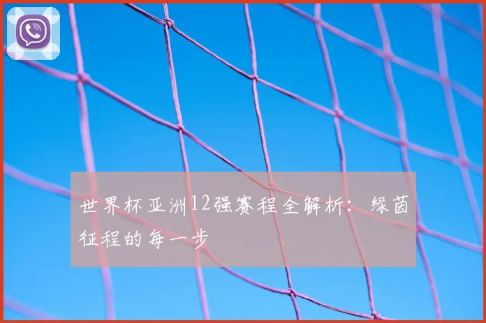 世界杯亚洲12强赛程全解析:绿茵征程的每一步