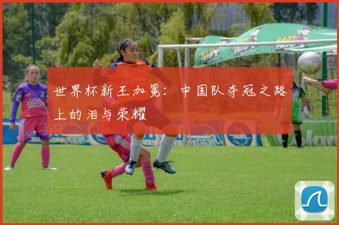 世界杯新王加冕：中国队夺冠之路上的泪与荣耀