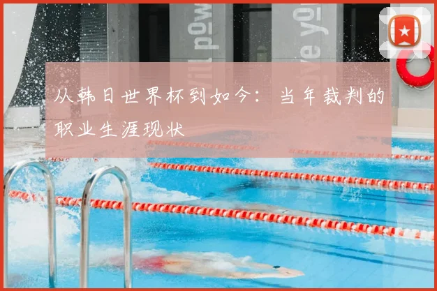 从韩日世界杯到如今：当年裁判的职业生涯现状