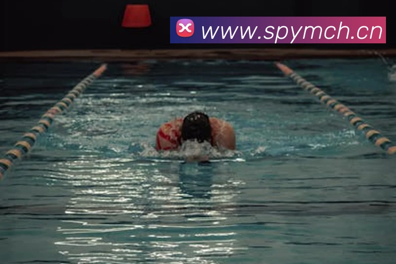 ayx爱游最新登录平台生态图